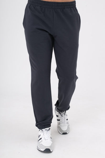 Брюки спортивные мужские М-У22092/2 (Размер:88-78-182 Цвет:графит)