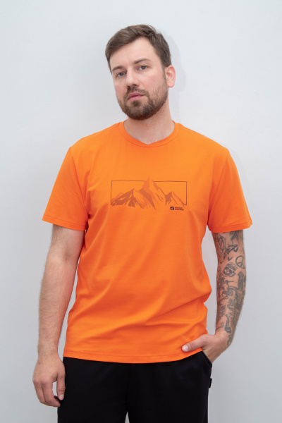 Футболка мужская М-23591/18 (Размер:96-86-170,176 Цвет:оранжевый)