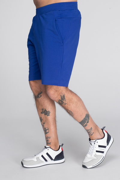 Шорты спортивные мужские М-24052/2 (Размер:96-86-182,188 Цвет:василек)