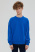 Свитшот мужской М-23492/2 (Размер:88-78-158,164, 42-48 Цвет:ярко-синий)