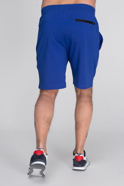 Шорты спортивные мужские М-24052/2 (Размер:96-86-182,188 Цвет:василек)